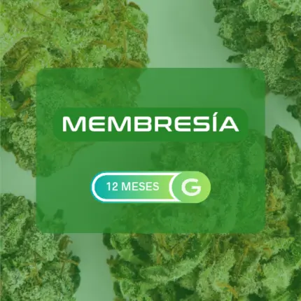 membresía 12 meses